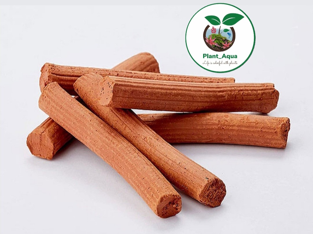 کود مغذی زیر کود بستر میله روت استیک ایزی لایف Easy-Life 25 Root Sticks - تصویر 2