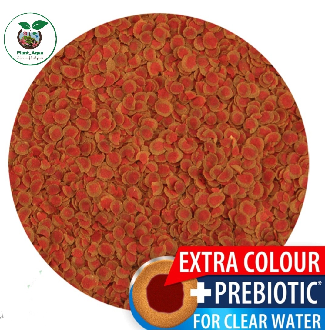 غذای ماهی تترا پرو کالر چیپسی Tetra TetraPro Colour Multi Crisps - تصویر 2