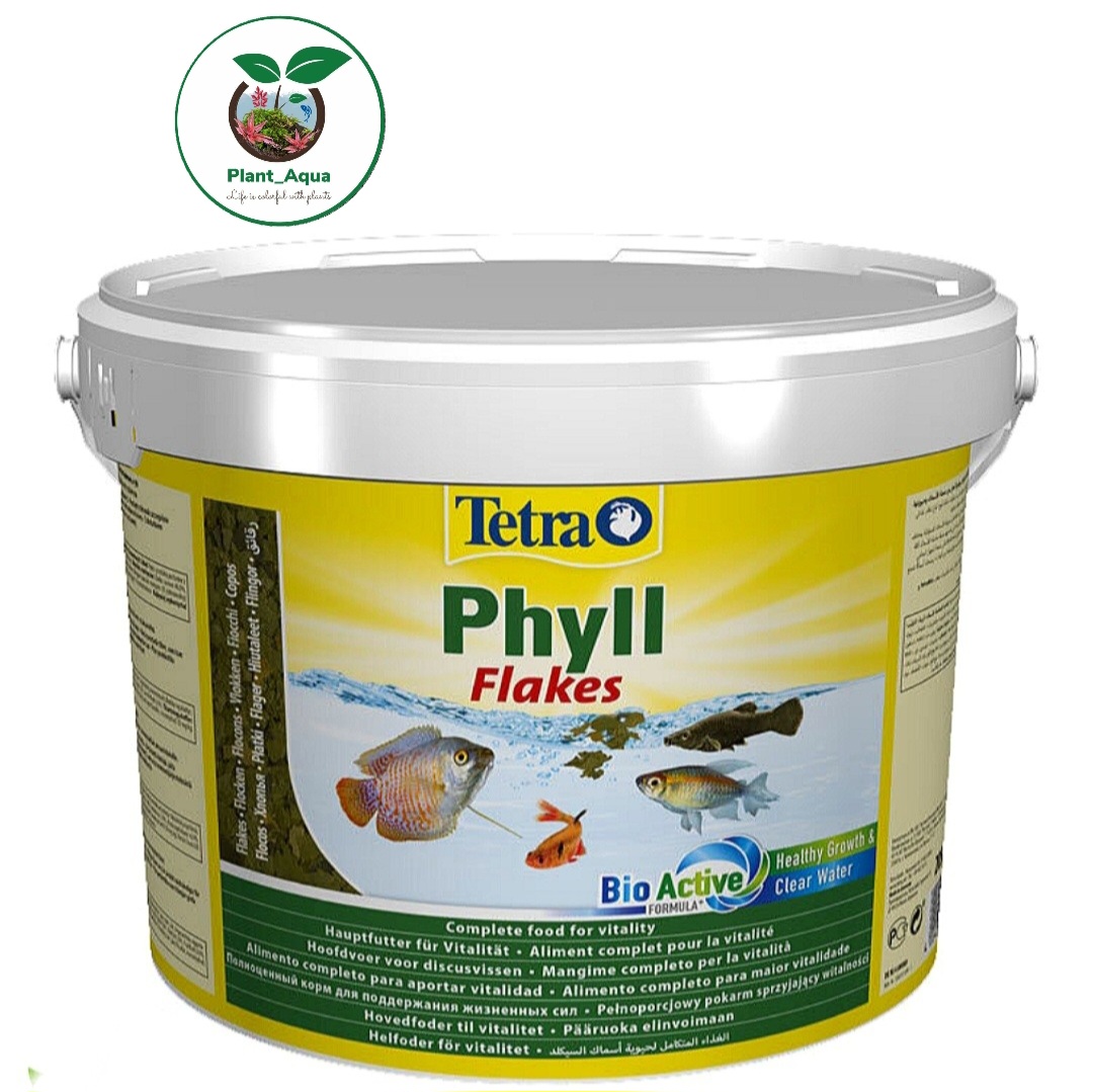 غذای ماهی آکواریوم تترا