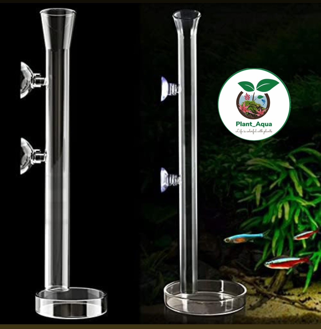 ظرف غذادهی FISH DISH