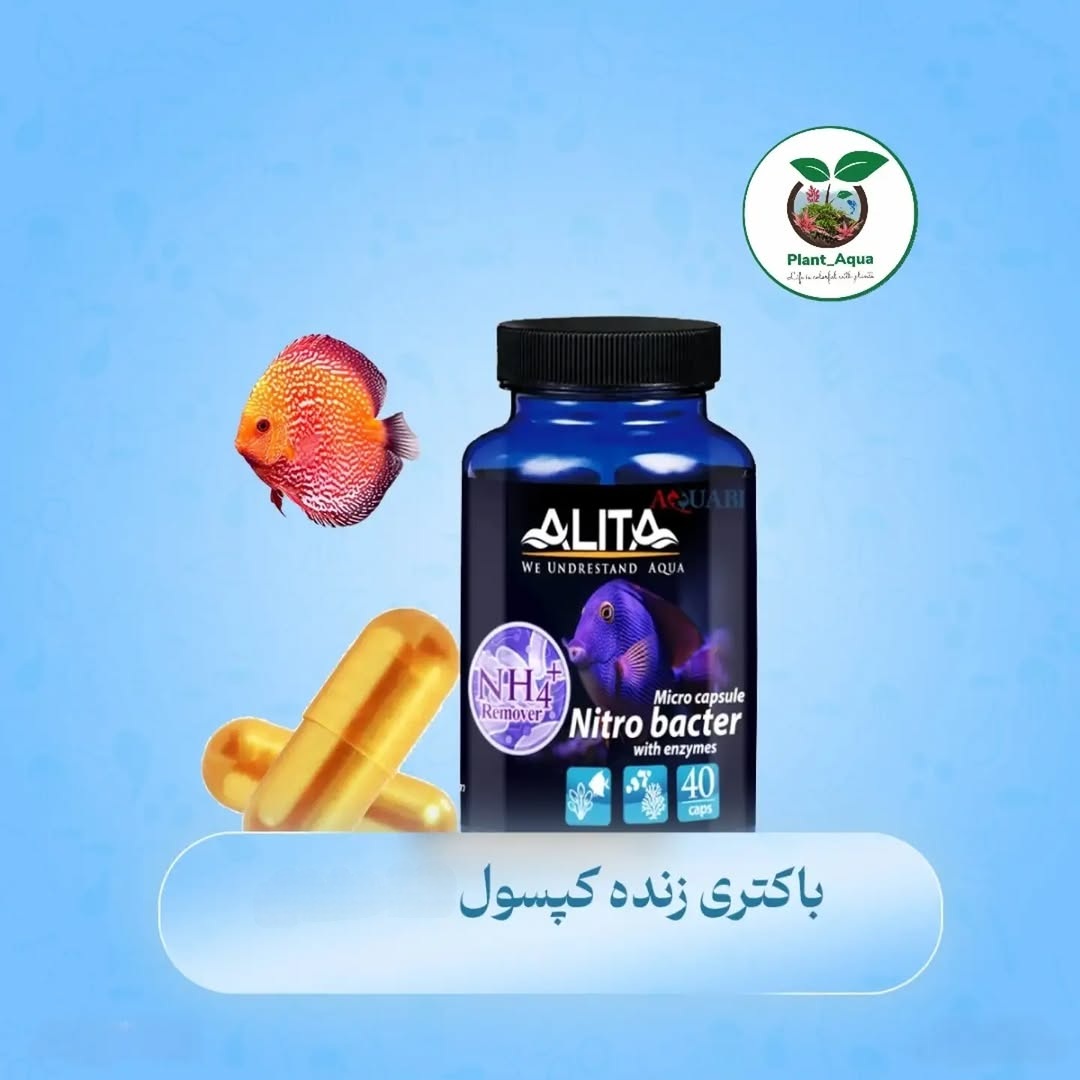 کپسول باکتری زنده آلیتا 04/2030 ✅️ حذف نیترات و آمونیاک - تصویر 2