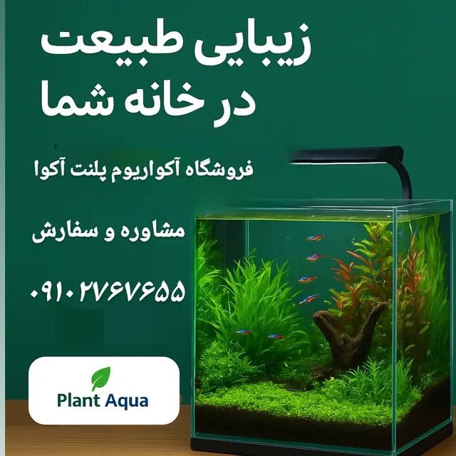 مراحل راه اندازی و نگهداری آکواریوم plant aqua shaping